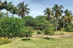 IMG-20230224-WA0018